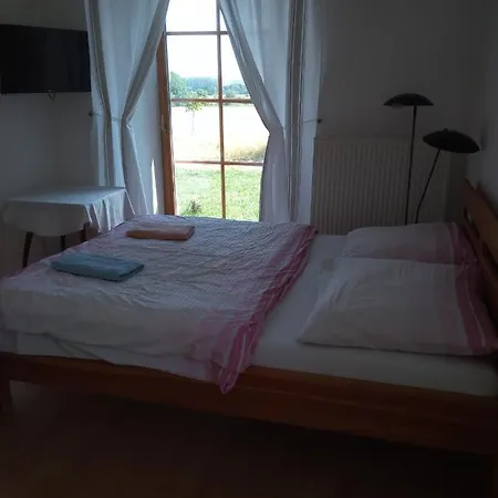 Dvur V Borovne Apartment