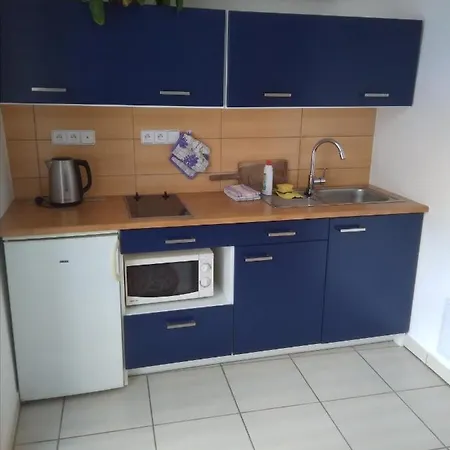 Dvur V Borovne Borovna