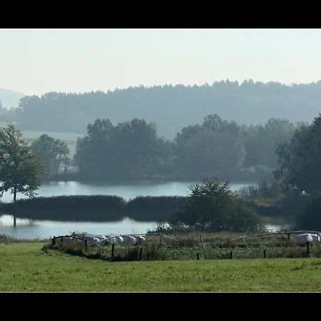 Dvur V Borovne Апартаменты