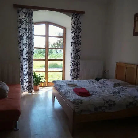 Apartament Dvur V Borovne *