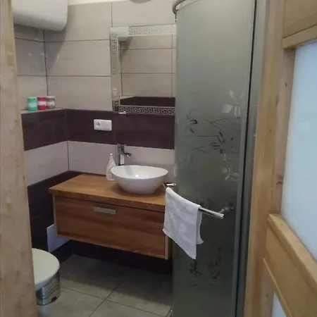 Dvur V Borovne Apartment *