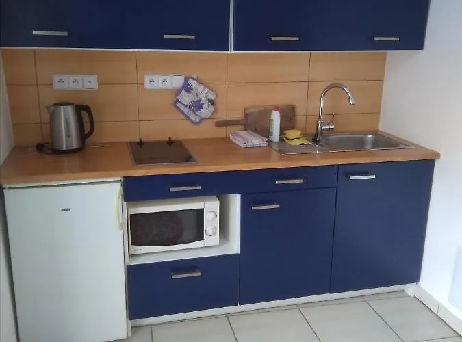 Dvur V Borovne Borovná